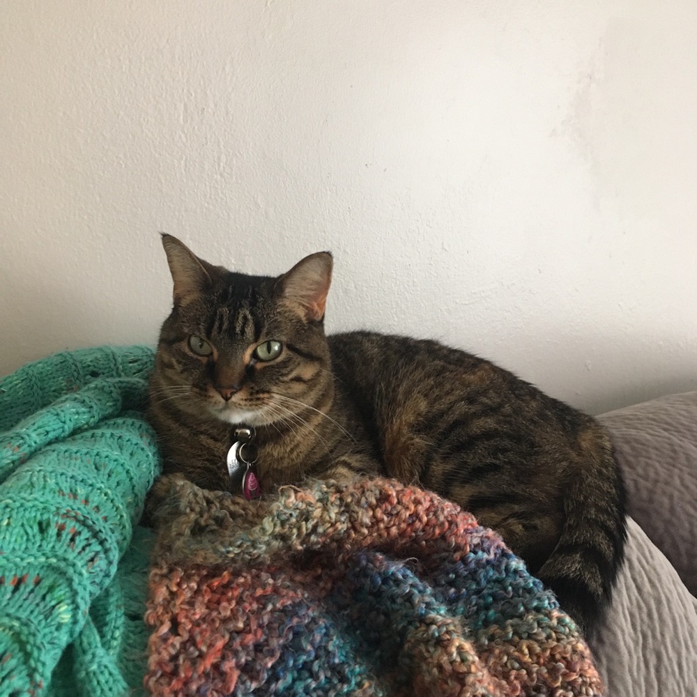 Meet your Posher, Funmaven